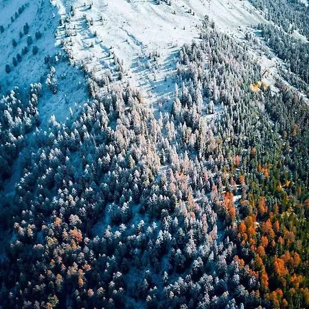 Lejlighed Le Doronic Duplex 8 Pers 1800 La Plagne