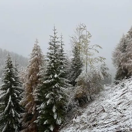 Lejlighed Le Doronic Duplex 8 Pers 1800 La Plagne