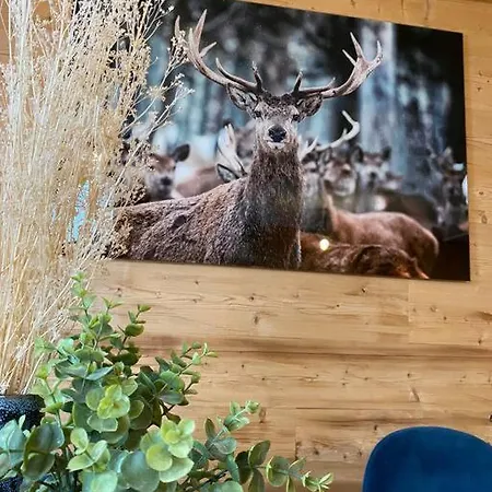 Le Doronic Duplex 8 Pers 1800