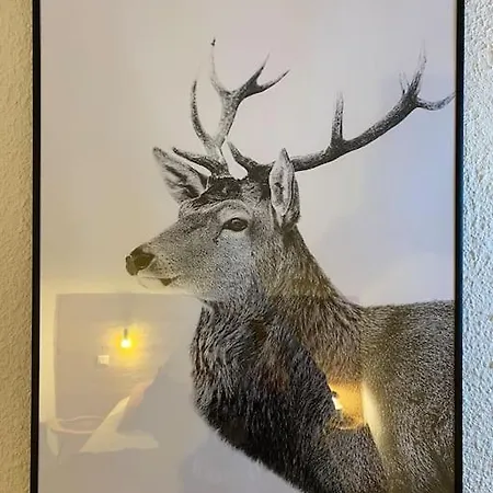 Le Doronic Duplex 8 Pers 1800 Apartment La Plagne