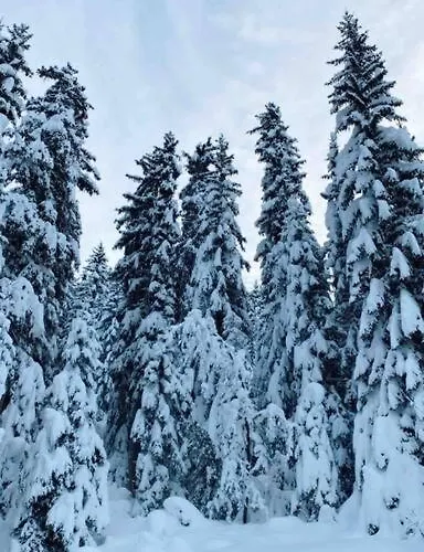 Le Doronic Duplex 8 Pers 1800 Апартаменты *