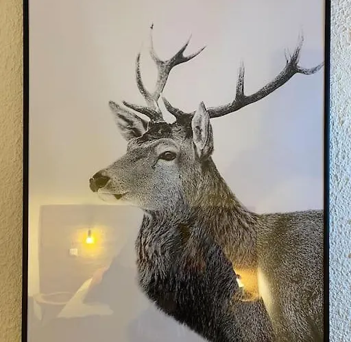 Le Doronic Duplex 8 Pers 1800 Апартаменты Ла-Плань