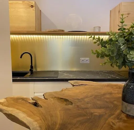 Le Doronic Duplex 8 Pers 1800 Ла-Плань