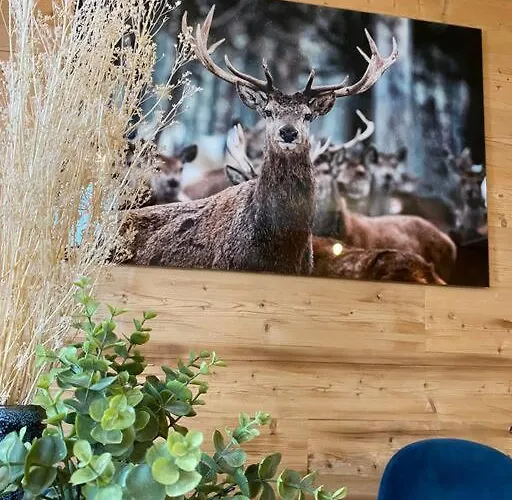 Le Doronic Duplex 8 Pers 1800